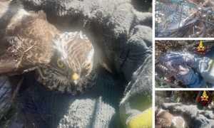 415676BD 73BA 464E AA10 7BDD1944178D