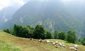 640px Lower Italian alps