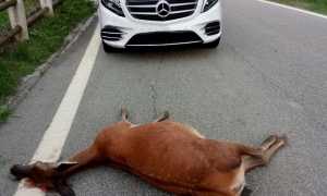 6DA5BC4A AF43 440C B7C3 72C7FC3F6461