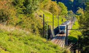 Camedo Christina Guerra