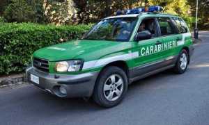 Carabinieri forestali Auto