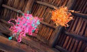 Enrica Borghi Meduse