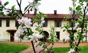 MERCANTINO LIBRO MARAZZA