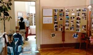 Mostra forni Premosello