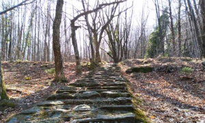 Schermata 2019 03 30 alle 10.09.51