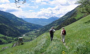 Schermata 2019 08 01 alle 10.53.50