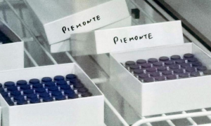 Schermata 2021 01 06 alle 20.30.30