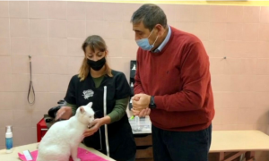 Schermata 2021 01 24 alle 11.18.36