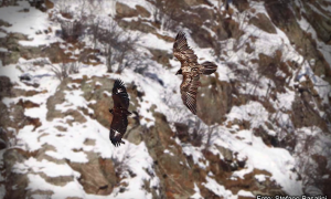 Schermata 2021 03 19 alle 13.42.07