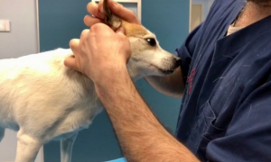 Schermata 2021 05 30 alle 11.11.21