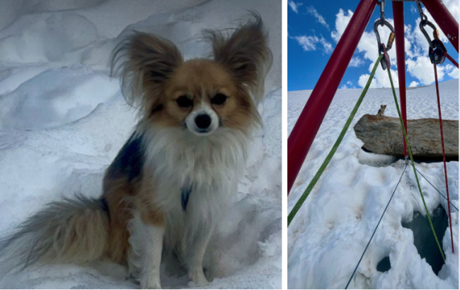 Schermata 2025 08 22 alle 07.34.39