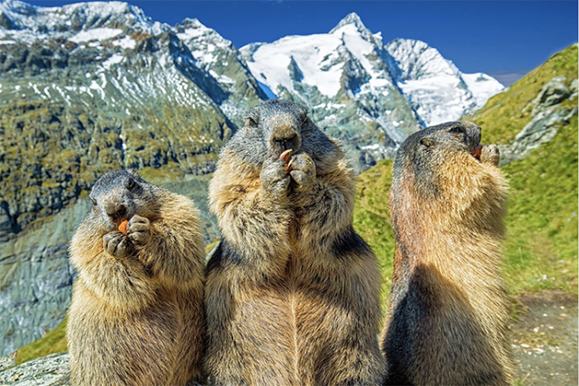 Screenshot 2023 04 23 alle 09.32.46