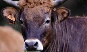 Screenshot 2025 05 04 alle 09.51.29