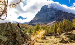 Veglia leone sasso gente