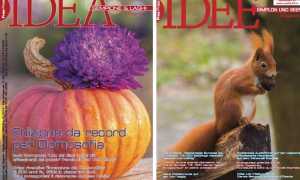 WhatsApp Image 2019 10 08 at 10.52.54