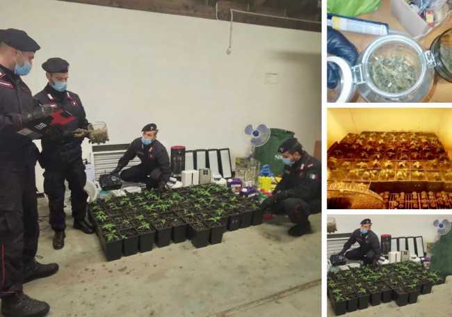 WhatsApp Image 2020 11 09 at 09.34.50