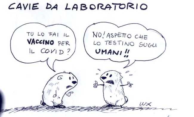 WhatsApp Image 2021 03 29 at 08.42.49