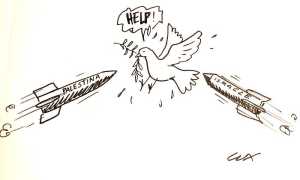 WhatsApp Image 2023 10 19 at 12.58.13