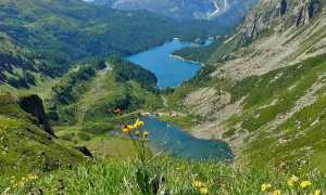 alpe devero