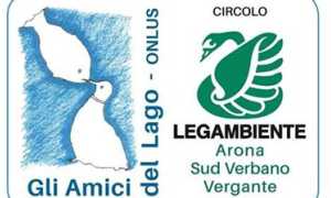 amici lago logo