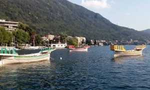 aspettando palio remiero