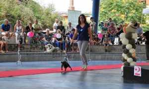 bastardini ribalta omegna presentazione