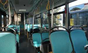 bus vco trasporti