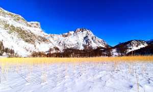canneto oro devero