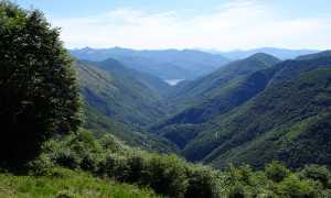 cannobina
