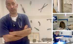 cavalli museo mix veterinaria