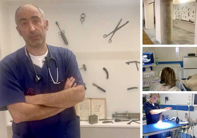 cavalli museo mix veterinaria