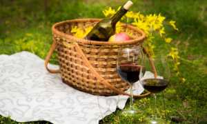 cesto picnic