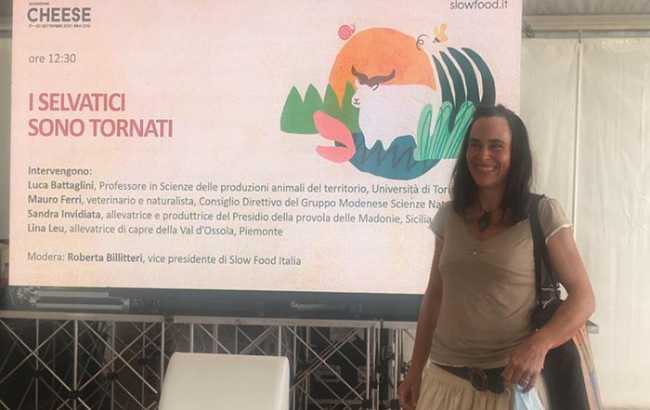 cheese selvatici