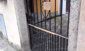 chiodi gatti pallanza