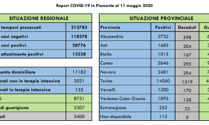 covid report 11 5