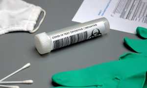 covid test