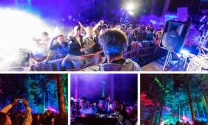 deep tree vigezzo mix 18 per 19