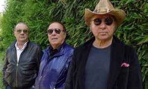 dikdik presentazione