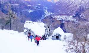 fabbri pizzetto inverno