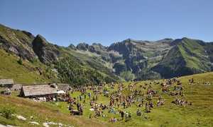 festa Alpe montecrestese