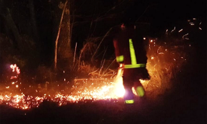 fiamme notte vifile acqua