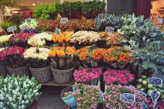 fiori