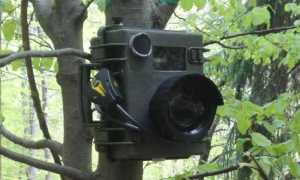 fototrappola trecate