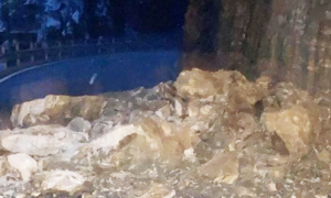 frana camedo gennaio 21