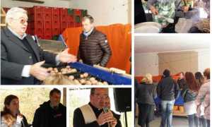 francini agricoltura mix