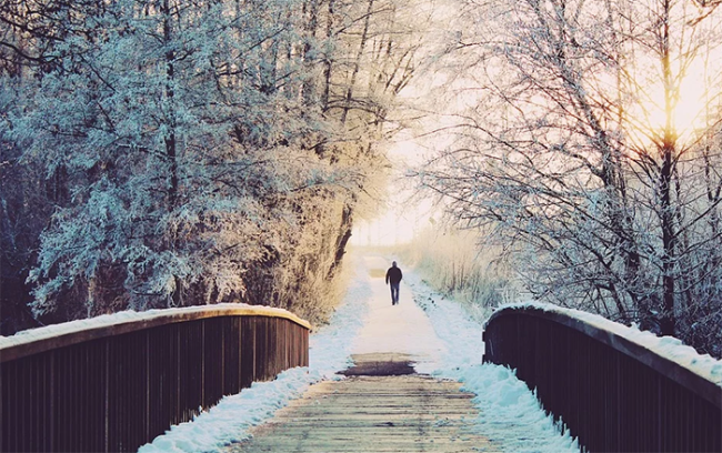freddo ghiaccio uomo sentiero ponte
