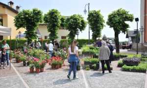 giardinidea gignese 2017