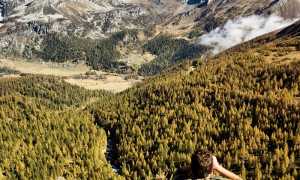 guardiaparco aree ossola incendio