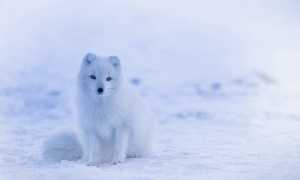 iceland ge4510228f 640