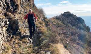 la colla fabbri